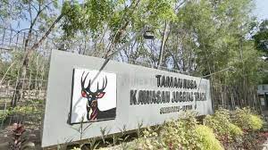 Place Image